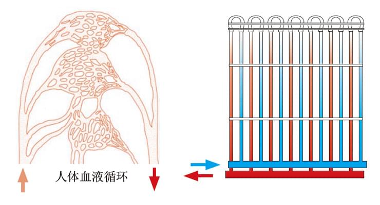毛細管路